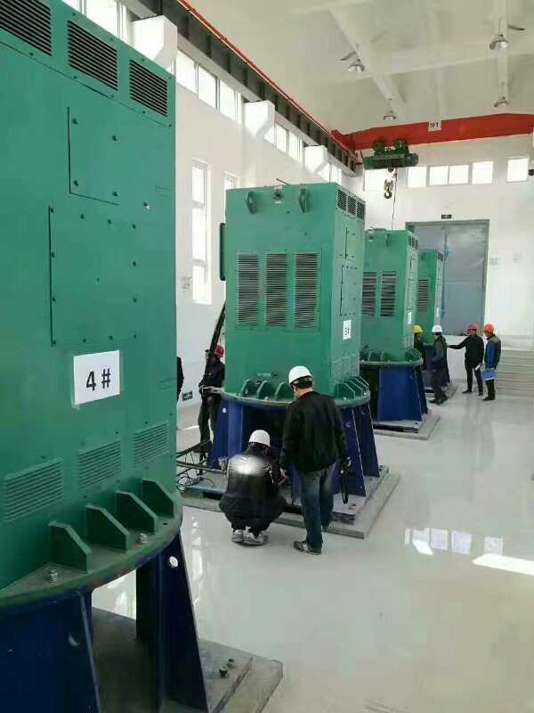 滁州某污水处理厂使用我厂的立式高压电机安装现场