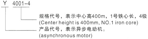 西安泰富西玛Y系列(H355-1000)高压滁州三相异步电机型号说明